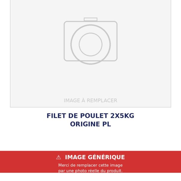 FILET DU POULET (2X5KG) ORIGINE PL