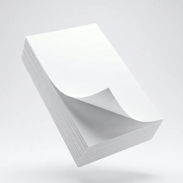 PAPIER PLATEAUX 32.5 X 25