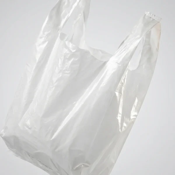 SAC PLASTIQUE REUTILISABLE MOYEN