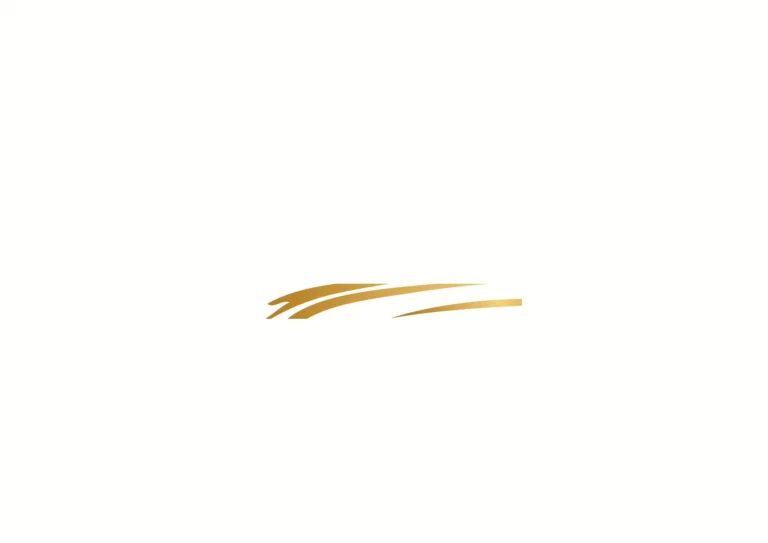 Chauffeur Service – Logo & identité | Aliphbay