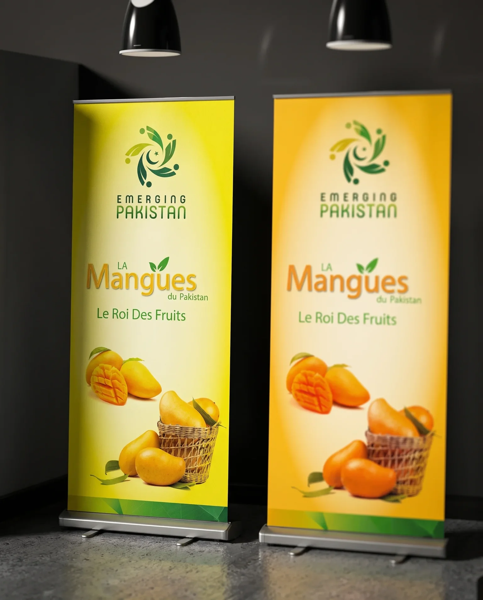 Print design – Emerging Pakistan | Aliphbay