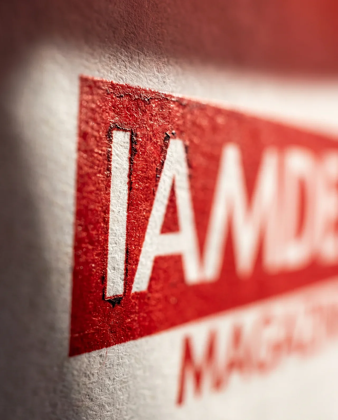 Logo and brand identity – IAMDESI | Aliphbay